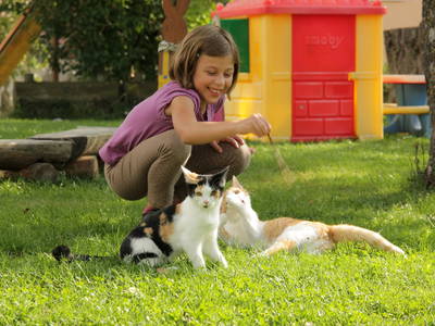 Bild 13 aus  Ferienhof Neudeck