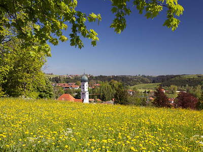 Bild 13 aus  Landhaus Ohnesorg - Ferienwohnungen mit Balkon, KönigsCard
