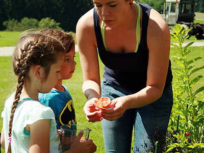 Bild 21 aus  natürlich urlauben - Bauernhof Gründinger