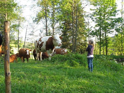 Bild 8 aus  Salenhof