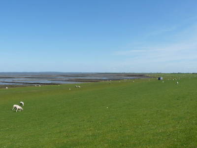 Bild 15 aus  Harder Urlaubsdomizile