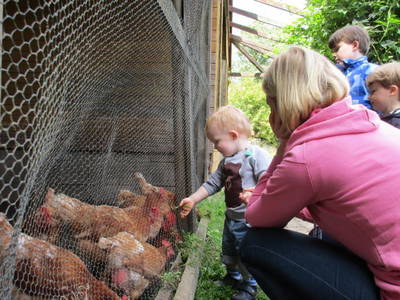 Bild 12 aus  Ferienhof Struve