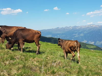 Bild 5 aus  Haus Burbach