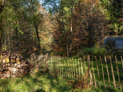 Bild 43 aus  Grashöfle