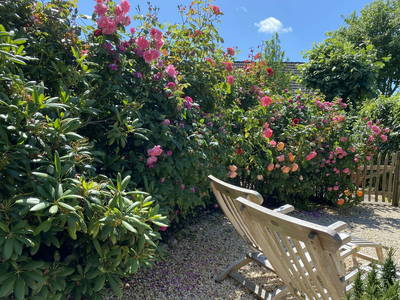 Bild 11 aus  das Föhrienhaus mit seinen drei Einheiten