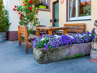 Bild 4 aus  Winzerhof Wiedemann