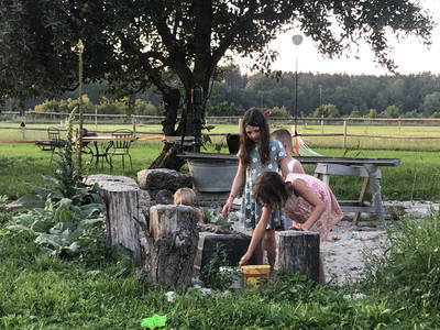 Bild 22 aus  Biohof Pürten