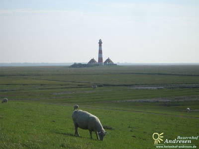 Bild 17 aus  Ferienhof Andresen Nordsee