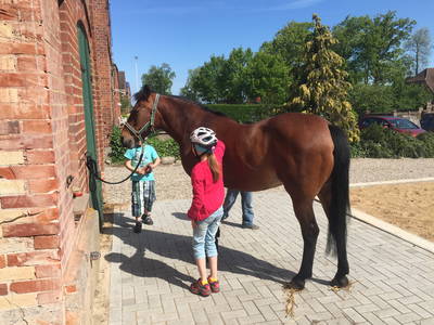 Bild 17 aus  Ferienhof Marquardt