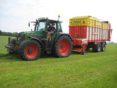 Bild 9 aus  Bernis Ferienhaus