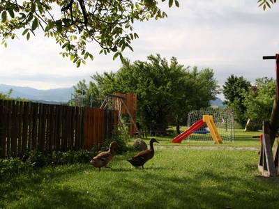 Bild 21 aus  Ferienhof Fink