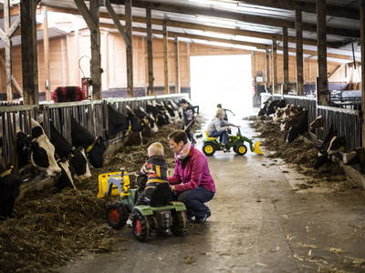 Bild 8 aus  Bauernhof Gördes