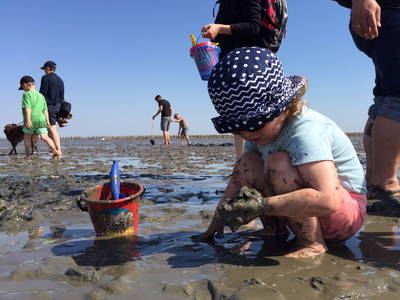 Kind spielt im Watt vor Friedrichskoog