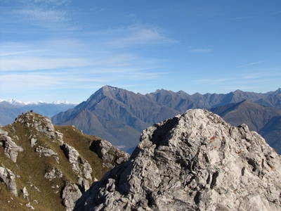 Bild 28 aus  Casarina