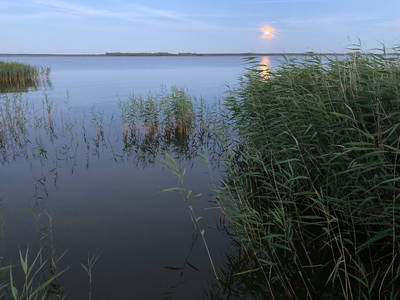 Idylle am Bodden
