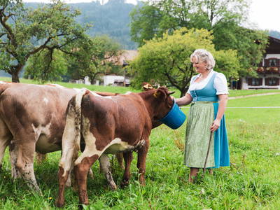 Angela mit den Kälbern auf der Weide