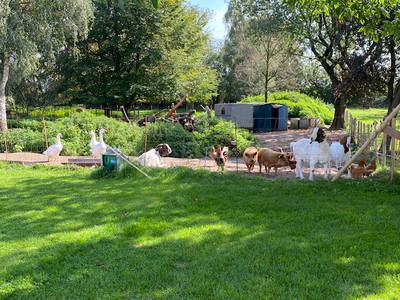 Bild 13 aus  Ferienwohnung am Conradhof