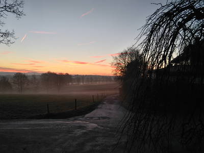 Bild 23 aus  Ferienhof Jansen