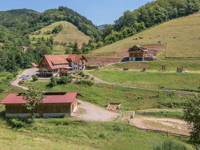 Bild 2 aus  Springhansenhof im Schwarzwald