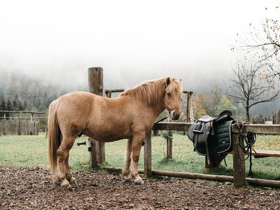 Bild 22 aus  LandSelection Proneben Gut