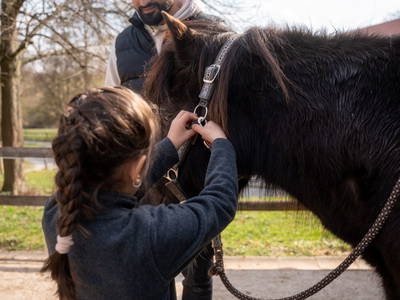Bild 25 aus  Ferienhaus Gersmühle