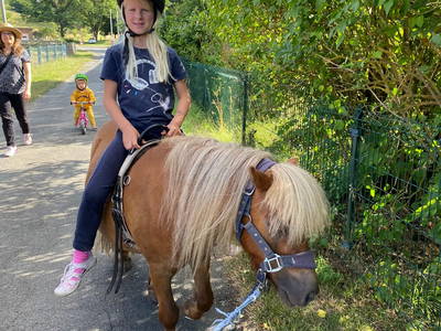 Bild 9 aus  Ferienhof Morich Harz