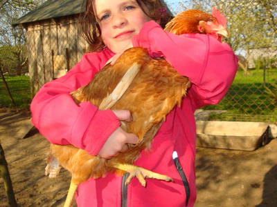 Unser Streichelhuhn Helga ...