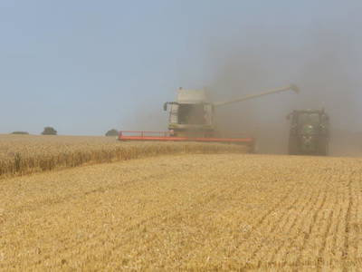 Bild 7 aus  Landhaus Marquardt