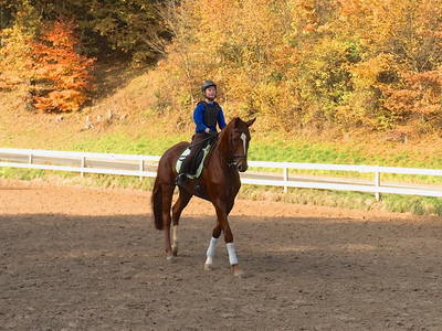 Bild 4 aus  Reiterhof Obere Mühle