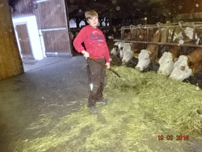 Bild 28 aus  Mayerhof