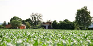 Demeterhof Dünninger - Unser Hof inmitten von Wiesen & Feldern
