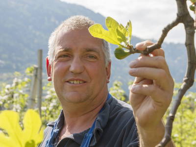 Bild 48 aus  Neuhauserhof