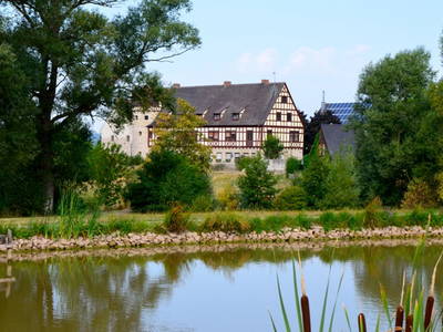 Bild 24 aus  Gutshof Gress