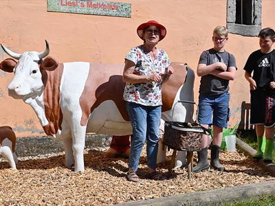 Bild 21 aus  Steigerwaldhof Krafft