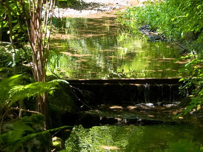 Bild 15 aus  Ignazhof