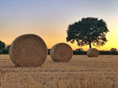 Sommeridyll bei untergehender Rettiner Sonne