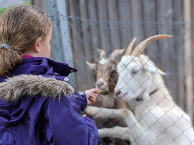 Bild 20 aus  Ferienhof Sennert im Odenwald