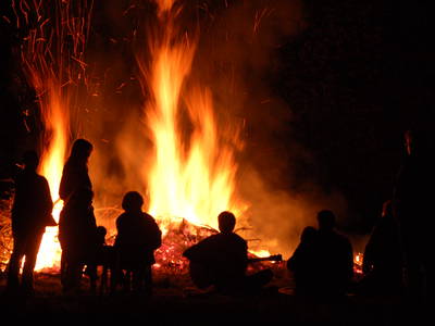 Bild 14 aus  Biohof Grafel - ein Ort, der verbindet