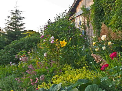 Bauerngarten in Blütenpracht II