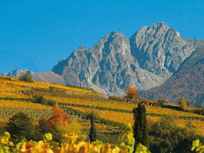 Bild 30 aus  Gasserhof B&B - Appartement