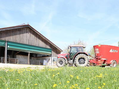 Bild 5 aus  Hollweck's Landoase