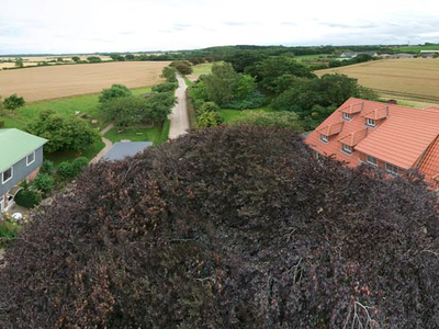 Bild 14 aus  Ferienhof Johannsen