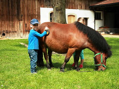 Bild 13 aus  natürlich urlauben - Bauernhof Gründinger