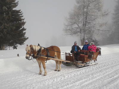 Bild 33 aus  Fillhof