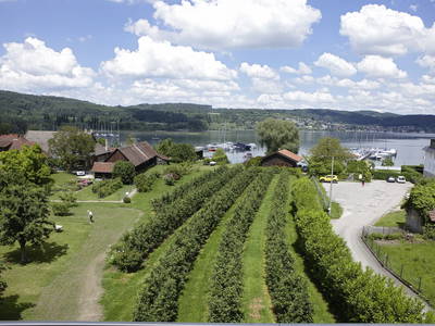 Bild 11 aus  Obst- und Ferienhof Sohm