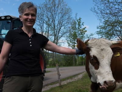 Bild 13 aus  Sigmundenhof