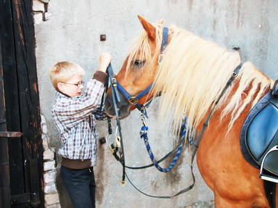 Bild 24 aus  Ostseeferienhof  Stoldt