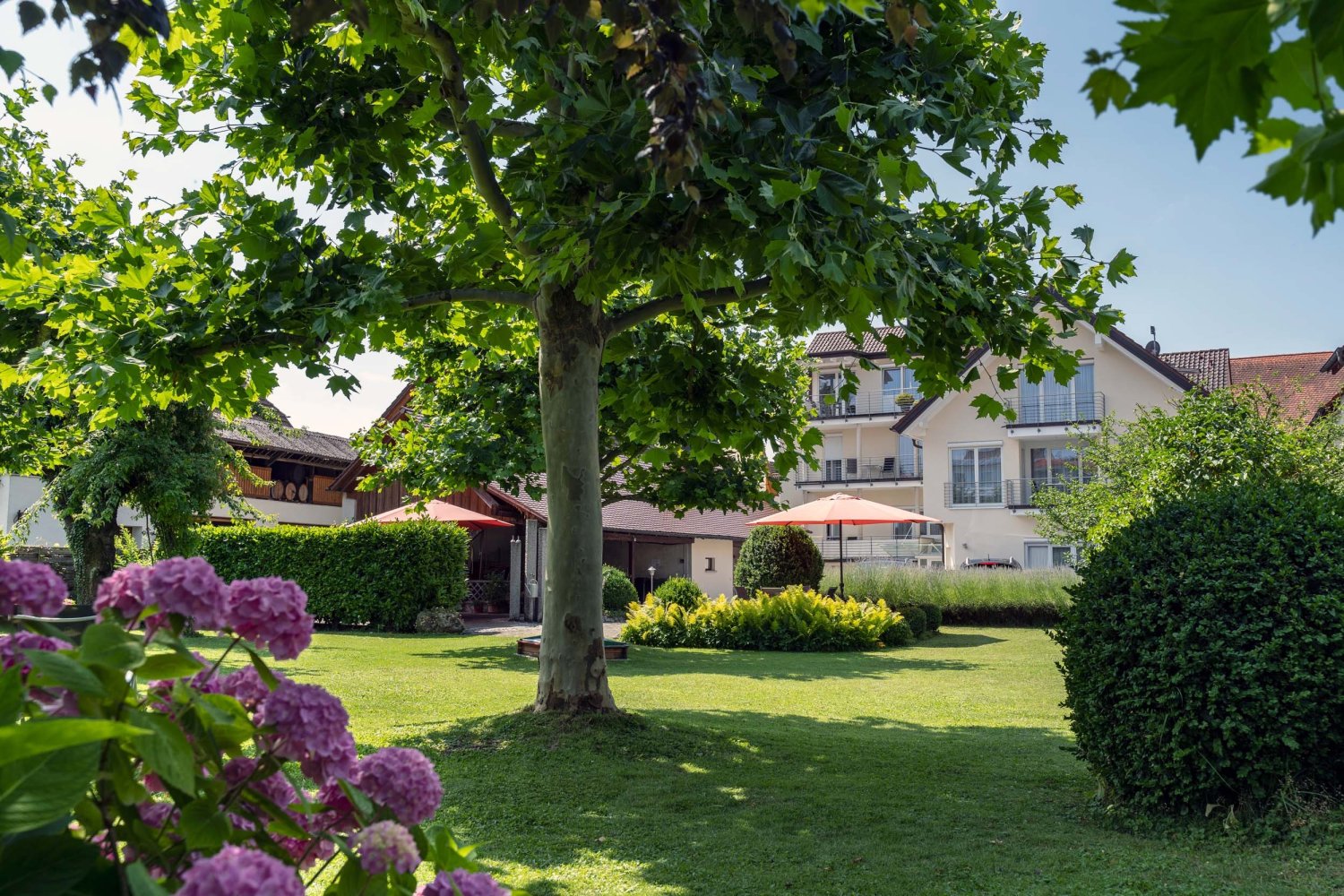 Das Blum am Bodensee