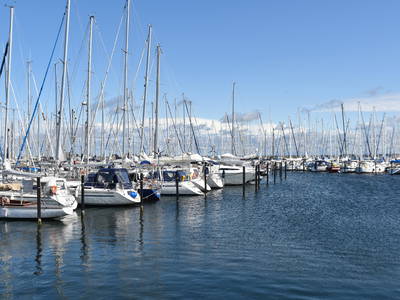 Bild 49 aus  Sonis kleine Farm Grömitz