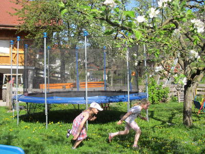 Bild 18 aus  Zacherlhof